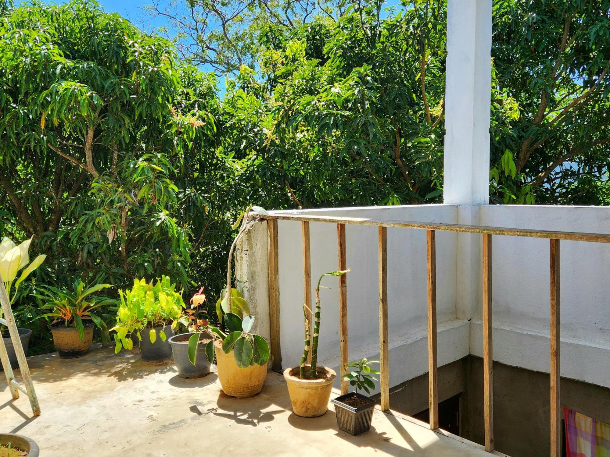 Sun Sea Guest Home Tangalle Exterior foto